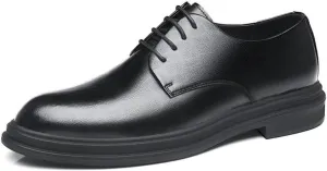 Men's Comfort Dress Shoes Mens Fashion Classic Pointed Toe Low Leather Oxford Shoes Non-Slip Softsole Lace Up Walking Derby Shoes for Men(9)